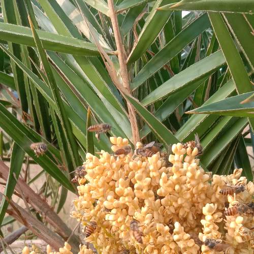 Photo #7057609
