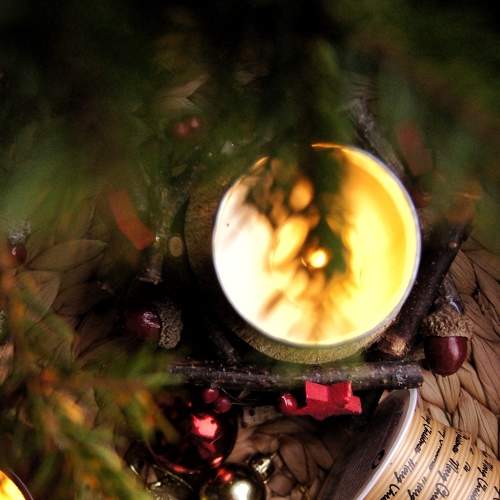Photo #7057720