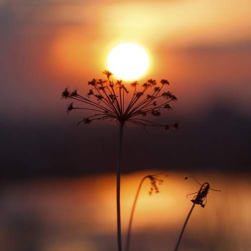 Photo #7057751