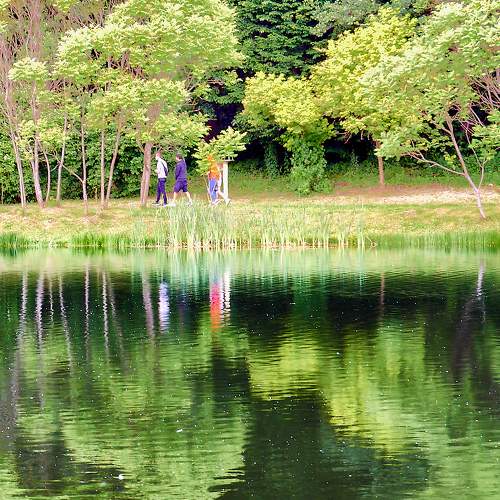 Photo #7057860