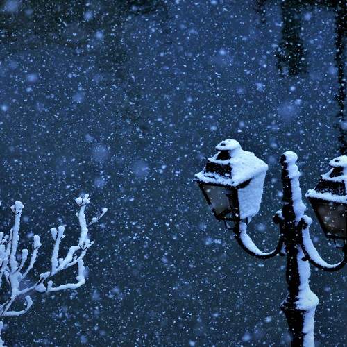 Photo #7057970