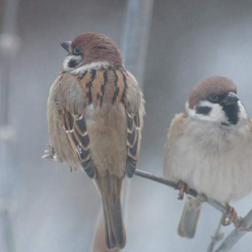 Photo #7058088