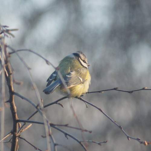 Photo #7058096