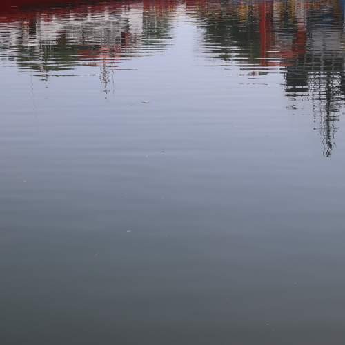 Photo #7058194
