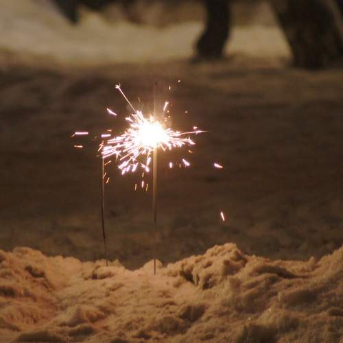 Photo #7058527