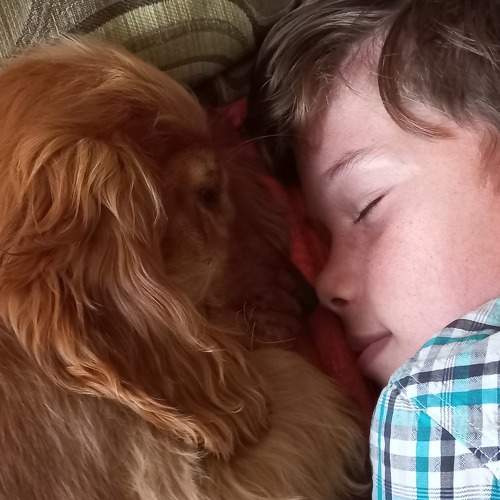 Photo #7058883
