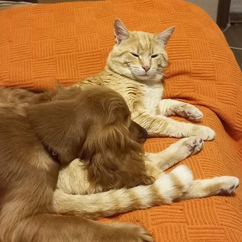 Photo #7058884