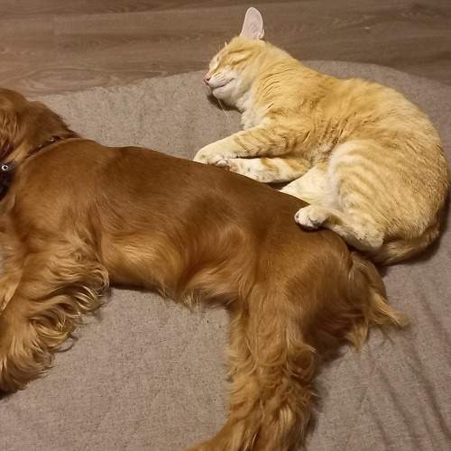 Photo #7058885