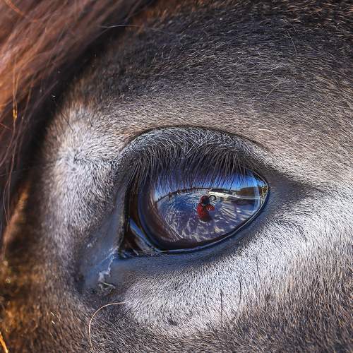 Photo #7059004