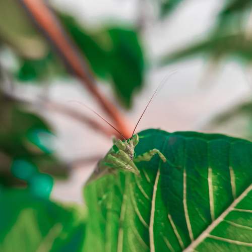 Photo #7059207