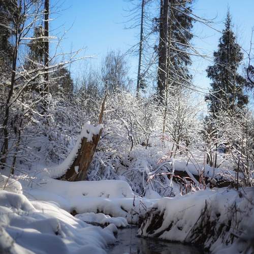 Photo #7059285