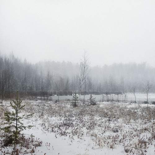 Photo #7059309