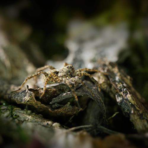 Photo #7059350