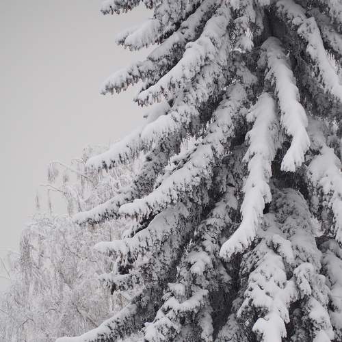 Photo #7059552