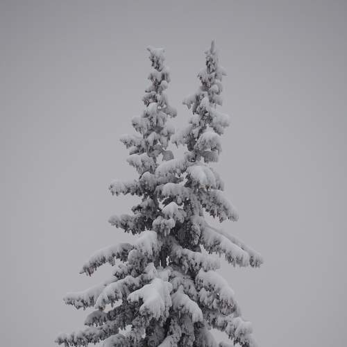 Photo #7059563
