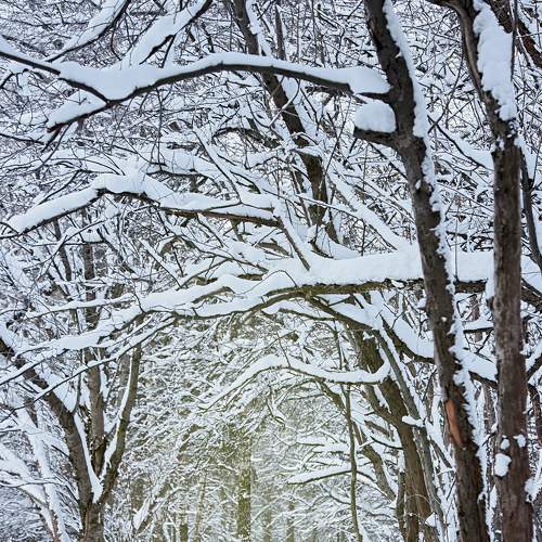 Photo #7059844