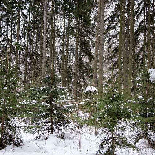 Photo #7059889