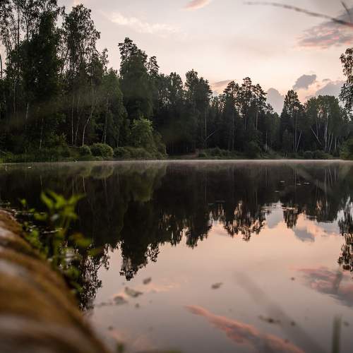 Photo #7059907
