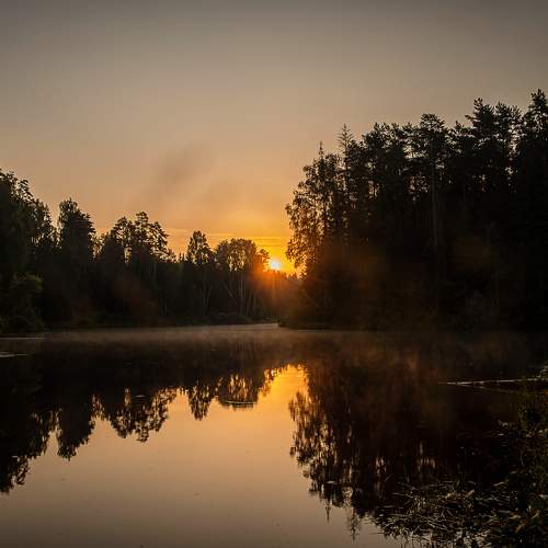 Photo #7059978