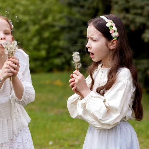 Photo #7060003