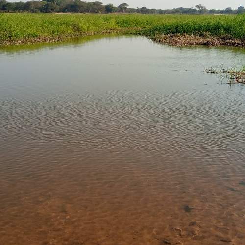Photo #7060167