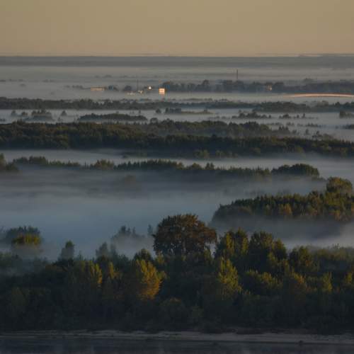 Photo #7060623