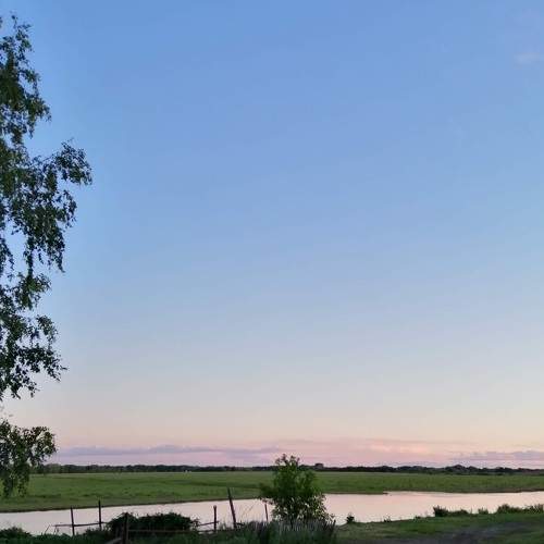 Photo #7060637