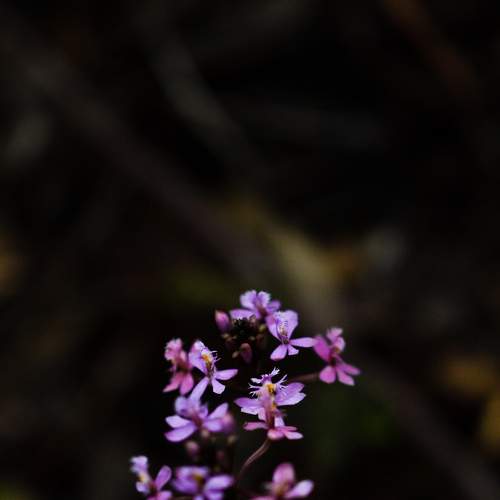 Photo #7061080