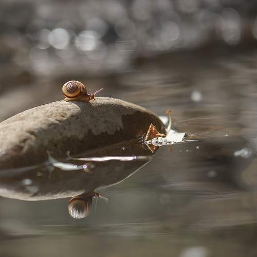Photo #7061134
