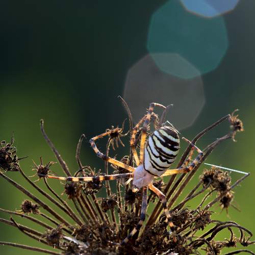 Фотография #7061214