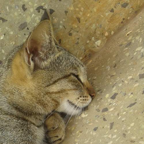 Photo #7061972