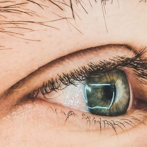 Photo #7062117