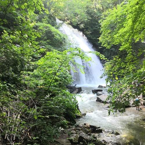 Photo #7062531