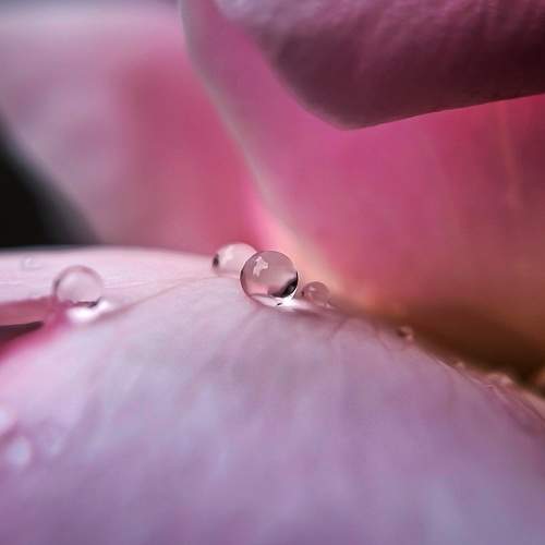 Photo #7062904