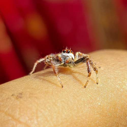 Photo #7063049