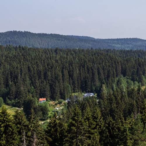 Photo #7063331