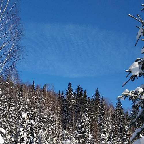 Photo #7063364