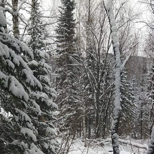 Photo #7063381