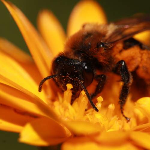 Photo #7063434