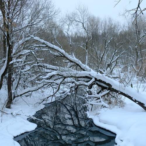 Photo #7063937
