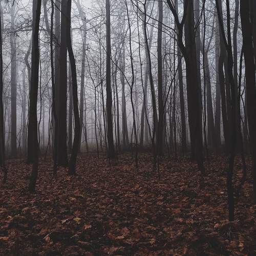 Photo #7064013