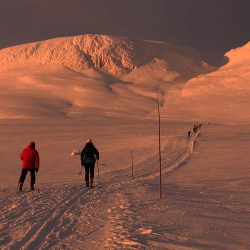 Photo #7064055