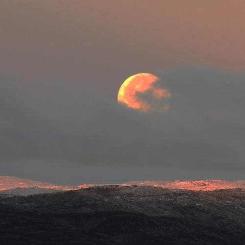 Photo #7064078