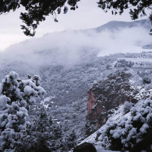 Photo #7064782