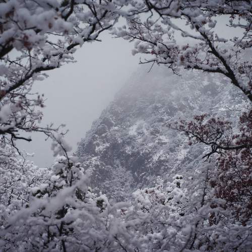 Photo #7064783