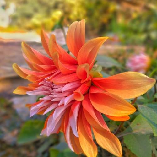 Photo #7064954