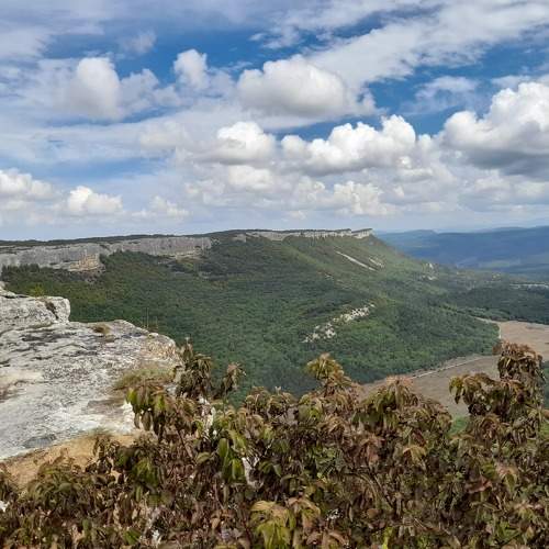 Photo #7064969