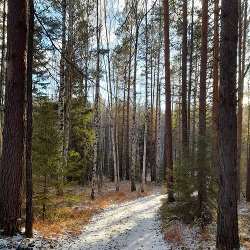Photo #7064979