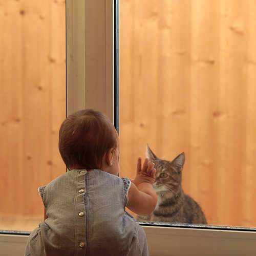 Photo #7065348