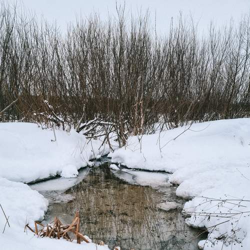 Photo #7065774